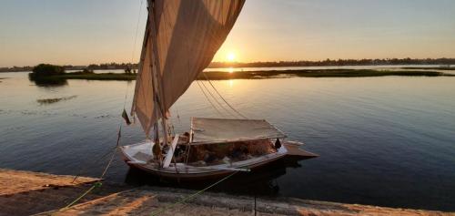 Traditional felucca